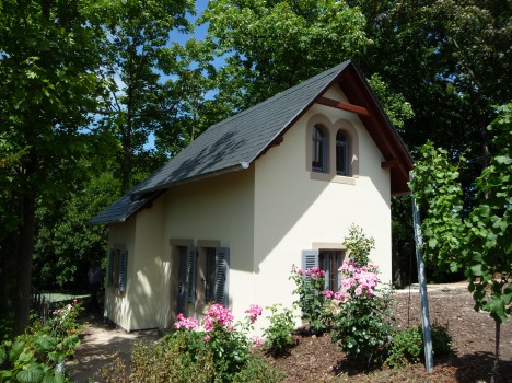 Ein kleines, zweistöckiges cremefarbenes Massivhaus Dresden mit steilem grauen Dach, umgeben von üppigen grünen Bäumen. Rosa Rosen und andere Pflanzen schmücken den Garten davor unter einem klaren blauen Himmel.